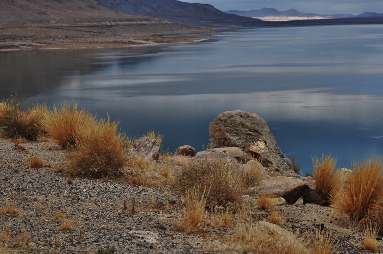 lake scene
